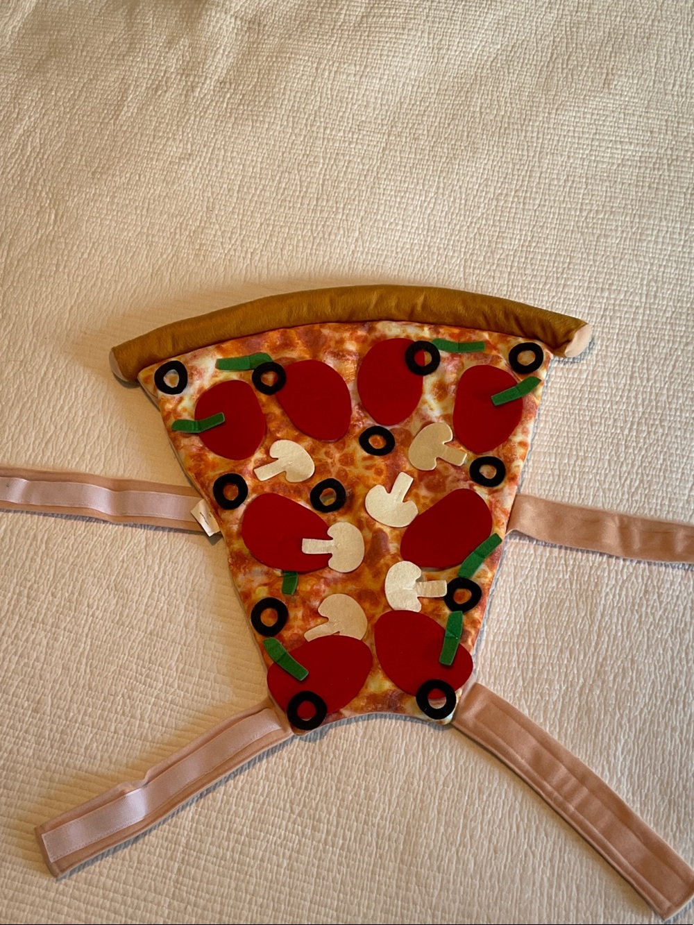 Medium size Pizza Slice dog costume. Delicious!